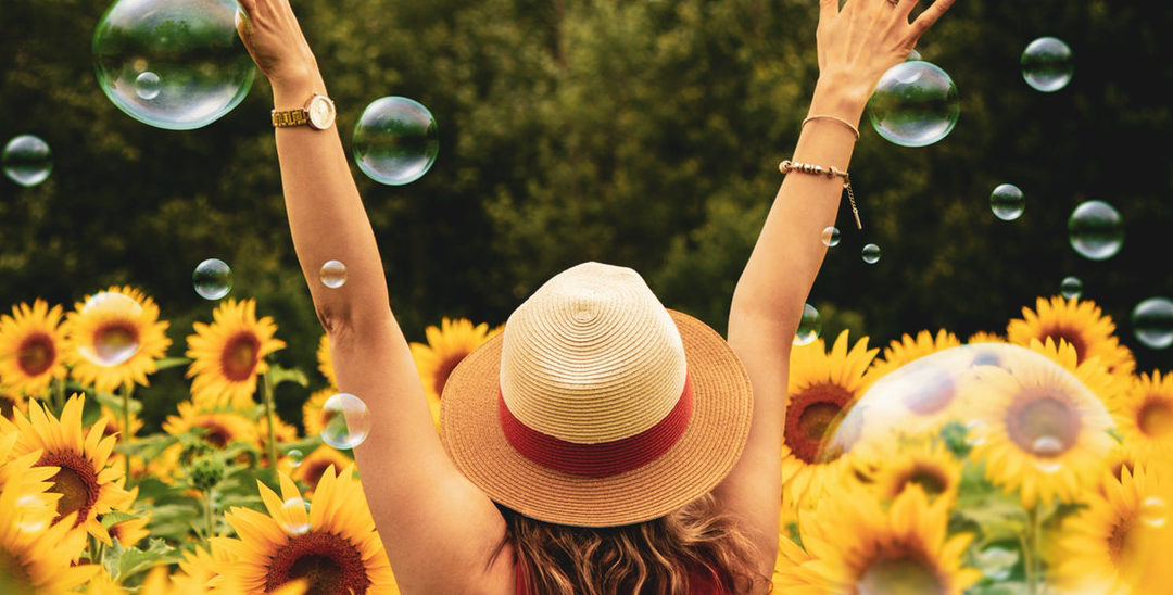 Cómo ser feliz, parte V: UNA VIDA FELIZ