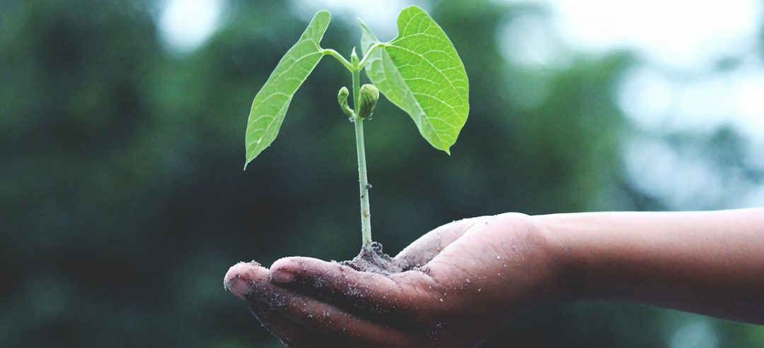 “Necesitamos hacer algo, y necesita ser algo grande”: la visión de Microsoft hacia un mundo con emisiones negativas de carbono