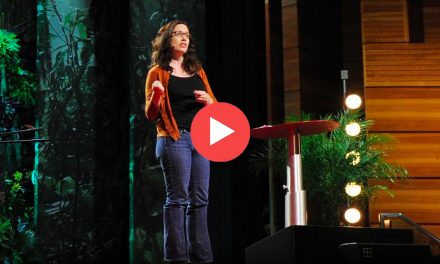 Charla TED: Lo que aprendemos antes de nacer