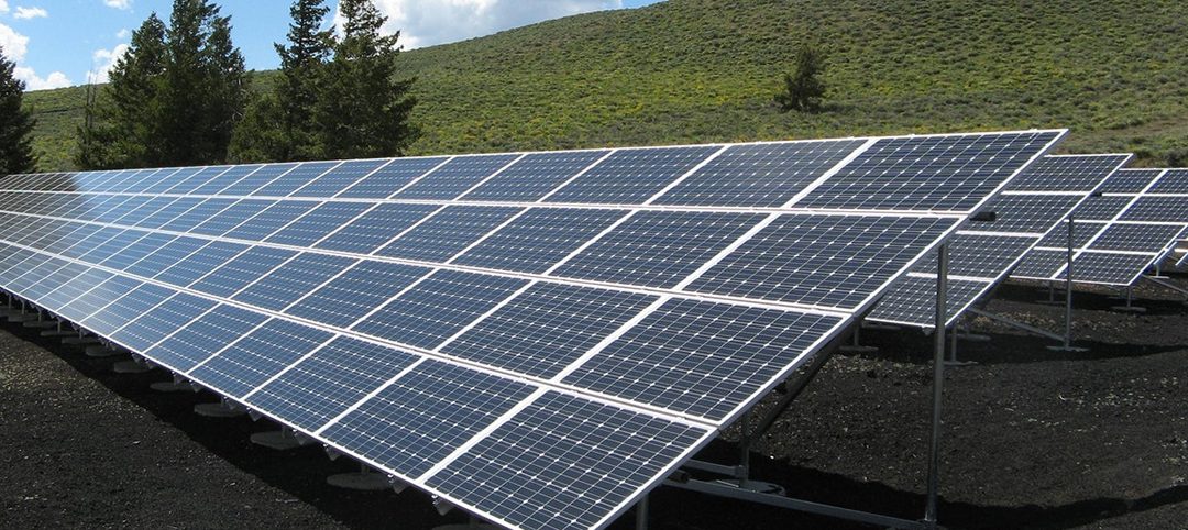 Hortifrut comprometido con las energías renovables para la eficiencia en la industria agrícola