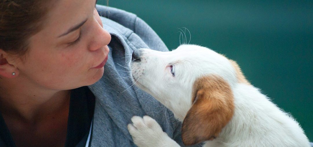 Amigos fieles en pandemia: 10 minutos al día con tu mascota te harán más feliz