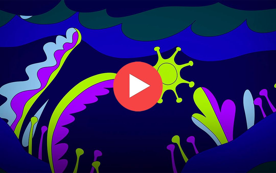 Charla TED: 4 formas en que la pandemia cambió la forma en que dormimos