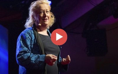 Charla TED: Olvídate del orden jerárquico en el trabajo