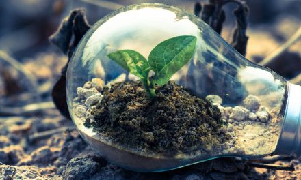 ¿Cómo pueden los criterios ESG prevenir el Greenwashing en las empresas?