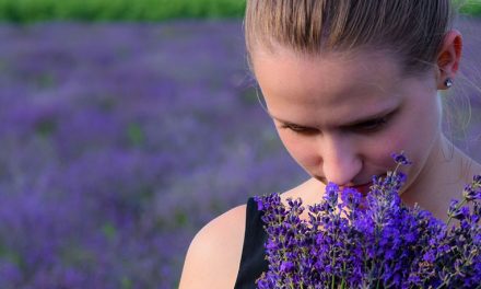 ¿Por qué algunos olores nos transportan al pasado?