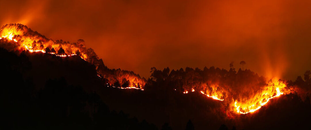 Recomendaciones sobre qué hacer y cómo prevenir los incendios forestales