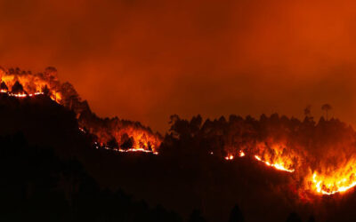 Recomendaciones sobre qué hacer y cómo prevenir los incendios forestales