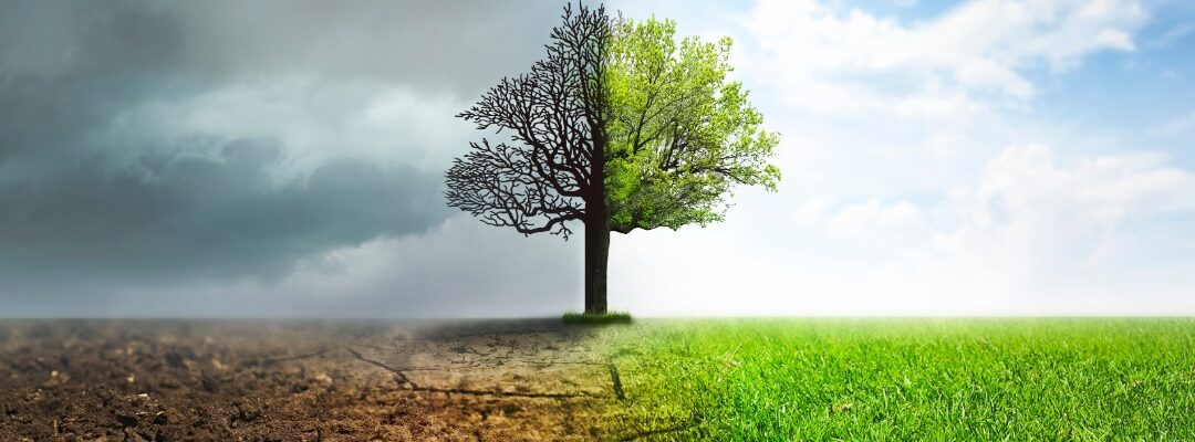 TIT: Las claves para entender la relación entre cambio climático y el mundo laboral