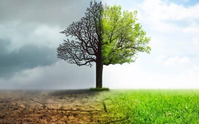 TIT: Las claves para entender la relación entre cambio climático y el mundo laboral