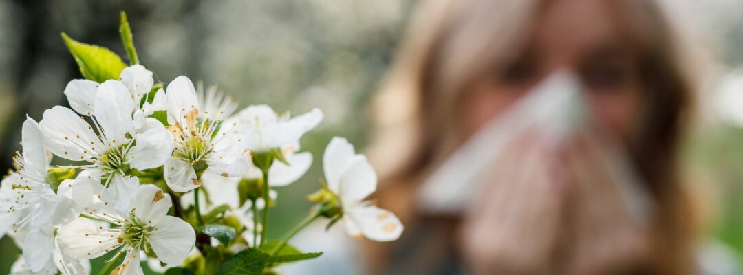 Alergias de primavera: cómo prevenir síntomas y disfrutar la temporada