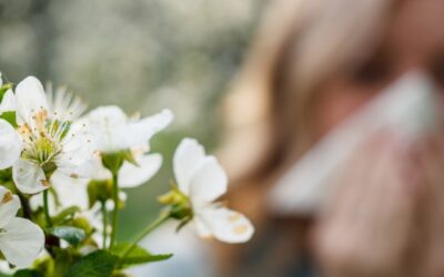 Alergias de primavera: cómo prevenir síntomas y disfrutar la temporada