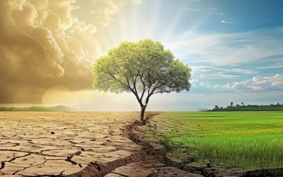 Cambio climático: el desafío de anticipar y gestionar los riesgos emergentes que impactan al mundo del trabajo