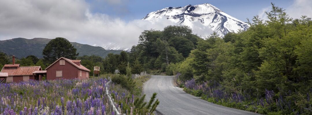 Estudiantes de Cunco y Lanco cierran programa de seguridad vial que busca prevenir y formar conductas seguras desde la infancia
