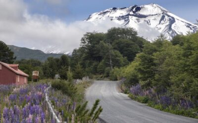 Estudiantes de Cunco y Lanco cierran programa de seguridad vial que busca prevenir y formar conductas seguras desde la infancia