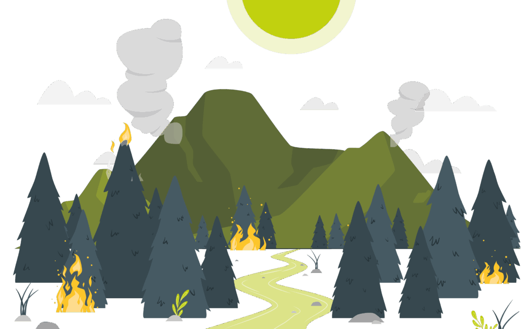 Altas temperaturas, radiación UV e incendios forestales: especialistas comparten recomendaciones clave para enfrentar la temporada estival