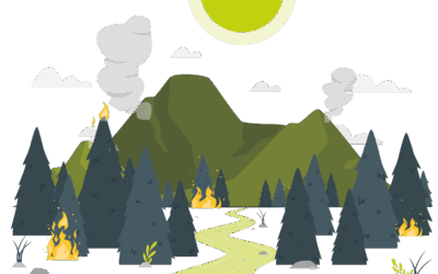 Altas temperaturas, radiación UV e incendios forestales: especialistas comparten recomendaciones clave para enfrentar la temporada estival